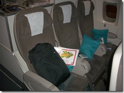 Air New Zealand Premium Economy seat - the head rest extends up for another 10-15 centimetres